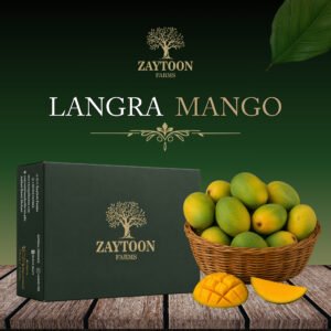 Langra Mango (Tentative Harvesting Date 20th June)