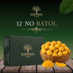 12 No Ratol Mango (Tentative Harvesting Date 23rd June)