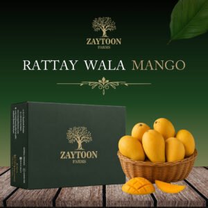 Rattay Wala Mango (Tentative Harvesting Date 10th July)